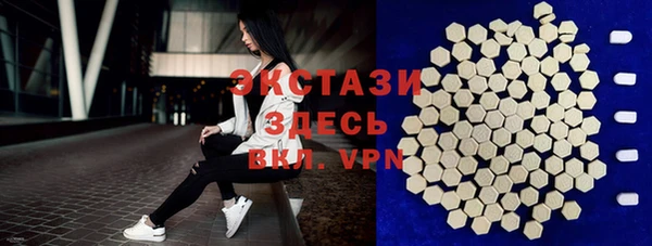 ECSTASY Богородск