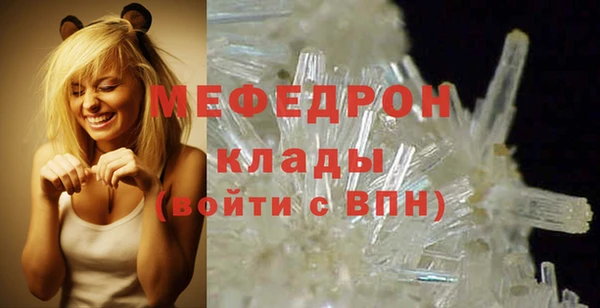 стаф Богданович
