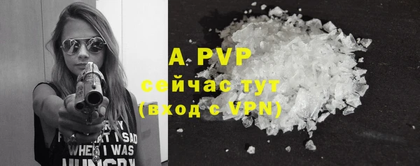 стаф Богданович
