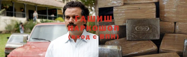 стаф Богданович