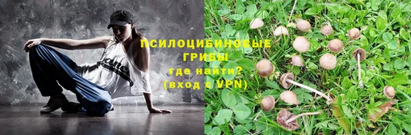 стаф Богданович