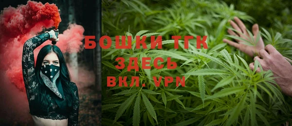 стаф Богданович
