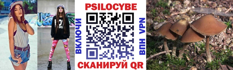 Псилоцибиновые грибы Psilocybine cubensis  Безенчук 
